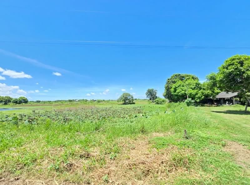 ที่ดินพนัสนิคม ชลบุรี, Chon Buri (Pattaya), Wat Bot, Phanat Nikhom, Chon Buri (Pattaya), , 16,160 sqm, Land For Sale, by The Best Property เหมยหลิง, 500411116 - DDproperty.com