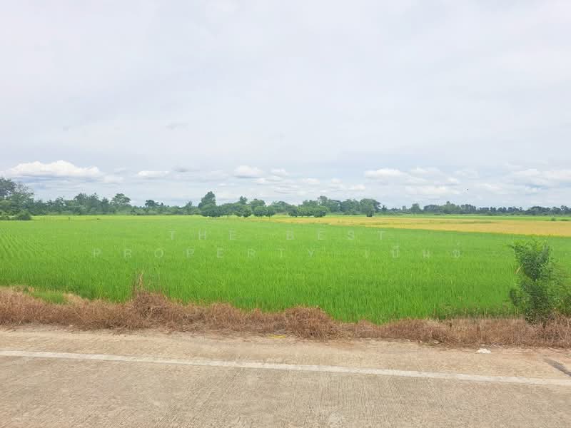 ที่ดินชุมแสง นครสวรรค์, นครสวรรค์, ท่าใหม่, ชุมแสง, นครสวรรค์, 4,424 ตร.ม., ที่ดิน ขาย, โดย The Best Property เบ็นซ์, 500411290 - DDproperty.com