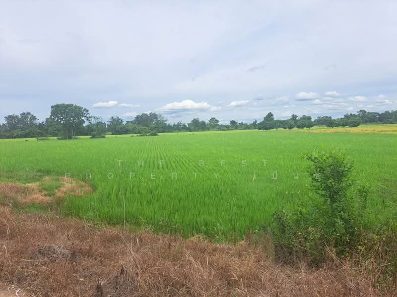 ที่ดินชุมแสง นครสวรรค์, นครสวรรค์, ท่าใหม่, ชุมแสง, นครสวรรค์, 4,424 ตร.ม., ที่ดิน ขาย, โดย The Best Property เบ็นซ์, 500411290 - DDproperty.com