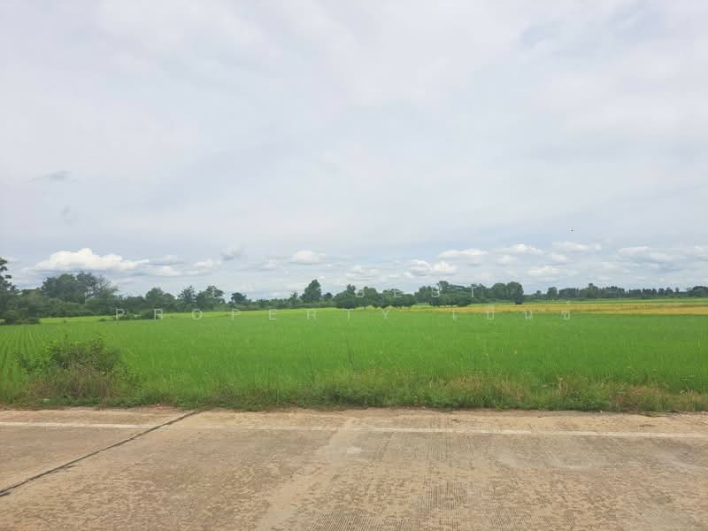 ที่ดินชุมแสง นครสวรรค์, นครสวรรค์, ท่าใหม่, ชุมแสง, นครสวรรค์, 4,424 ตร.ม., ที่ดิน ขาย, โดย The Best Property เบ็นซ์, 500411290 - DDproperty.com