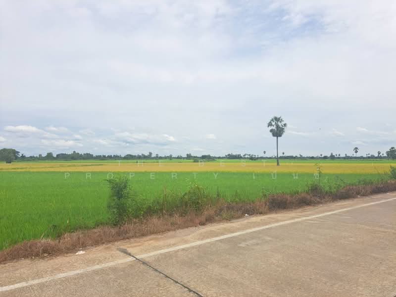 ที่ดินชุมแสง นครสวรรค์, นครสวรรค์, ท่าใหม่, ชุมแสง, นครสวรรค์, 4,424 ตร.ม., ที่ดิน ขาย, โดย The Best Property เบ็นซ์, 500411290 - DDproperty.com