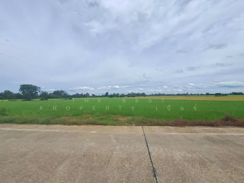 ที่ดินชุมแสง นครสวรรค์, นครสวรรค์, ท่าใหม่, ชุมแสง, นครสวรรค์, 4,424 ตร.ม., ที่ดิน ขาย, โดย The Best Property เบ็นซ์, 500411290 - DDproperty.com