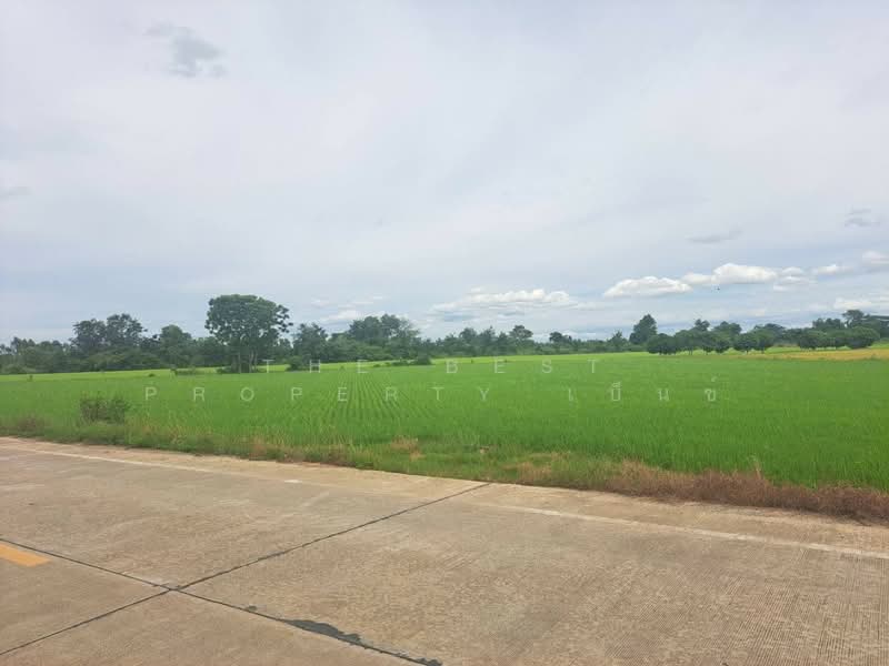 ที่ดินชุมแสง นครสวรรค์, นครสวรรค์, ท่าใหม่, ชุมแสง, นครสวรรค์, 4,424 ตร.ม., ที่ดิน ขาย, โดย The Best Property เบ็นซ์, 500411290 - DDproperty.com