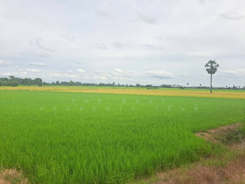 ที่ดินชุมแสง นครสวรรค์, นครสวรรค์, ท่าใหม่, ชุมแสง, นครสวรรค์, 4,424 ตร.ม., ที่ดิน ขาย, โดย The Best Property เบ็นซ์, 500411290 - DDproperty.com