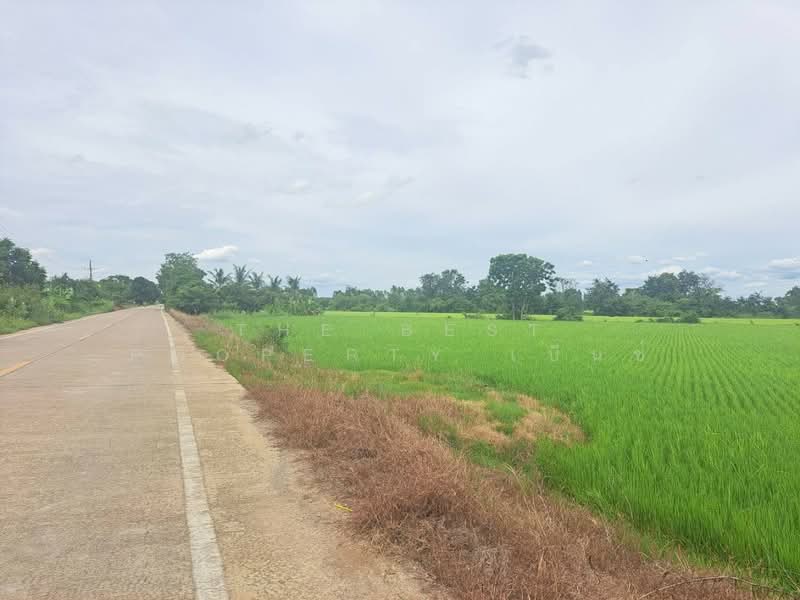 ที่ดินชุมแสง นครสวรรค์, Nakhon Sawan, Tha Mai, Chumsaeng, Nakhon Sawan, , 4,424 sqm, Land For Sale, by The Best Property เบ็นซ์, 500411290 - DDproperty.com