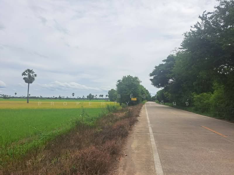 ที่ดินชุมแสง นครสวรรค์, นครสวรรค์, ท่าใหม่, ชุมแสง, นครสวรรค์, 4,424 ตร.ม., ที่ดิน ขาย, โดย The Best Property เบ็นซ์, 500411290 - DDproperty.com