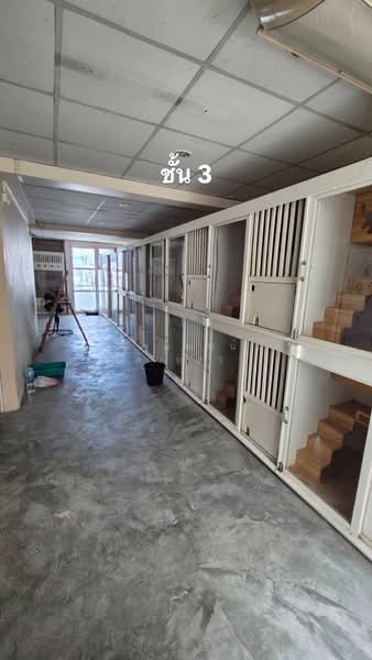 เมืองทองธานี, นนทบุรี, บางพูด, ปากเกร็ด, นนทบุรี, 200 ตร.ม., ตึกแถว-อาคารพาณิชย์ ขาย, โดย ฉัฐมณฑน์ หาบสา, 500411380 - DDproperty.com