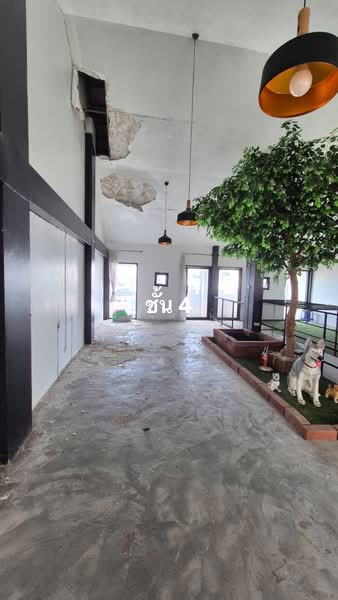 เมืองทองธานี, Nonthaburi, Bang Phut, Pak Kret, Nonthaburi, , 200 sqm, Shophouse For Sale, by ฉัฐมณฑน์ หาบสา, 500411380 - DDproperty.com