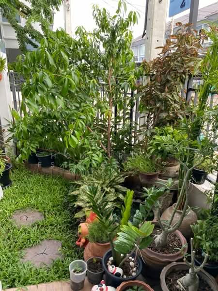 Dream Deluxe Ratchaphruek-Pinklao, Nonthaburi, Soi Suan Phak, Mahasawat, Bang Kruai, Nonthaburi, 3 Bedrooms, 120 sqm, Townhouse For Sale, by HOME Real Estate Service, 500411470 - DDproperty.com