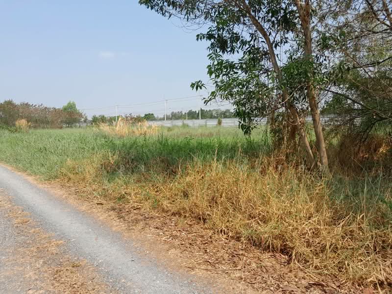 ที่ดินคลอง 5, Pathum Thani, คลองห้า, Khlong Ha, Khlong Luang, Pathum Thani, , 1,040 sqm, Land For Sale, by คุณน้อง เกรทเทสต์, 500411478 - DDproperty.com