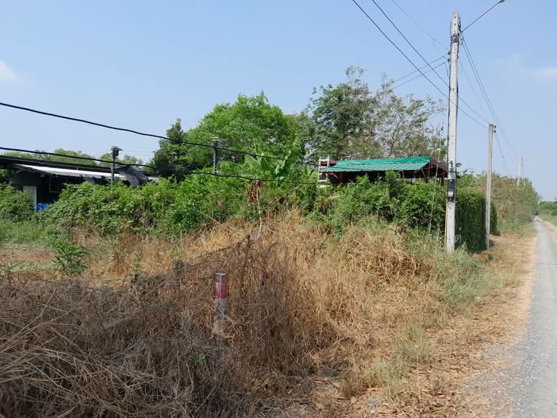 ที่ดินคลอง 5, Pathum Thani, คลองห้า, Khlong Ha, Khlong Luang, Pathum Thani, , 1,040 sqm, Land For Sale, by คุณน้อง เกรทเทสต์, 500411478 - DDproperty.com