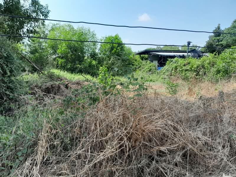 ที่ดินคลอง 5, Pathum Thani, คลองห้า, Khlong Ha, Khlong Luang, Pathum Thani, , 1,040 sqm, Land For Sale, by คุณน้อง เกรทเทสต์, 500411478 - DDproperty.com