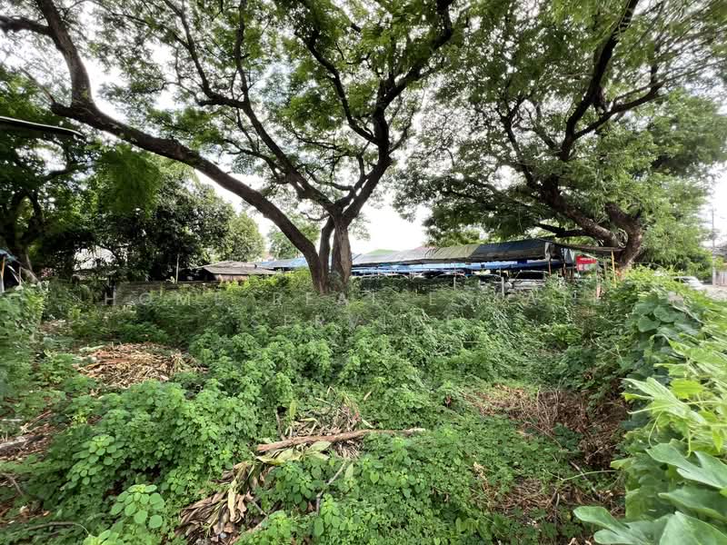 Land Chaengwattana 13 Yeak 3, Bangkok, Thung Song Hong, Lak Si, Bangkok, , 400 sqm, Land For Sale, by HOME Real Estate Service, 500411562 - DDproperty.com