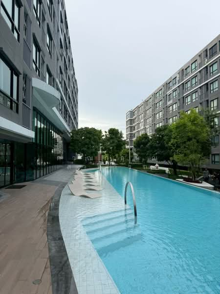 The Origin Sukhumvit 105, กรุงเทพ, 818 Sukhumvit 105 Alley, บางนา, กรุงเทพ, 28 ตร.ม., คอนโด ให้เช่า, โดย กาณกฤษณ์ สามารถ, 500411568 - DDproperty.com