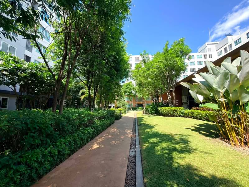 Dcondo Nim, Chiang Mai, 239 Hwy Chiang Mai-Lampang Frontage Road, Fa Ham, Muang Chiang Mai, Chiang Mai, 2 Bedrooms, 60 sqm, Condo For Rent, by Best Choice Property, 500411599 - DDproperty.com
