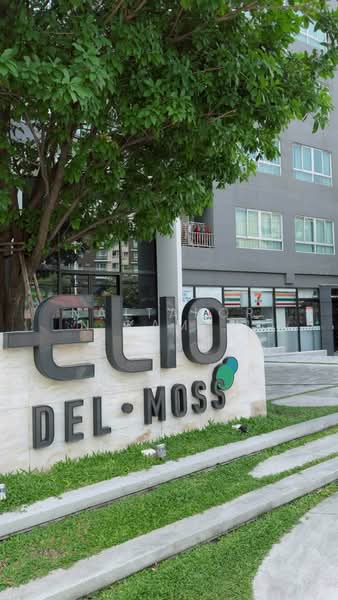Elio Del Moss Phaholyothin 34, Bangkok, Soi Phahonyothin 34 Yaek 1, Sena Nikhom, Chatuchak, Bangkok, 2 Bedrooms, 35 sqm, Condo For Rent, by Nattakorn Kampangthip, 500411672 - DDproperty.com