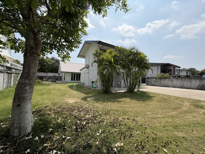 บ้านเช่าประชานิเวศ์2 ประชาชื่นใกล้หมาลัยธุรกิจบัณทิต, Bangkok, Thung Song Hong, Lak Si, Bangkok, 6 Bedrooms, 496 sqm, Single Detached House For Rent, by ทัณฑิกา แก้วปู่วัด, 500411695 - DDproperty.com