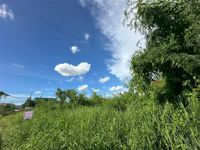 ที่ดินเปล่า 60 ตร.ว. หมู่บ้านธารทอง 2 ใกล้ตลาดธารทอง ซอยวัดลาดปลาดุก, Nonthaburi, ถนนกาญจนาภิเษก, Bang Rak Pattana, Bang Bua Thong, Nonthaburi, , 240 sqm, Land For Sale, by คุณ วัสสารัตน์ อ่อนเกลี้ยง (ข้าว), 500411729 - DDproperty.com
