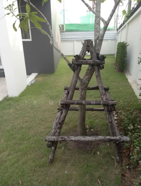 ฉลอง, ภูเก็ต, ฉลอง, เมืองภูเก็ต, ภูเก็ต, 148 ตร.ม., ทาวน์เฮ้าส์ ให้เช่า, โดย Prime James, 500411786 - DDproperty.com