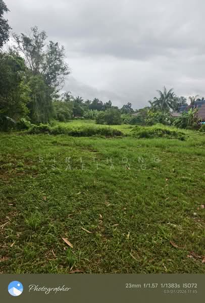 Land 556 sq.wa near Chumphon city center 1.5 km, Located on Road 2009, Tak Daed, Mueang Chumphon, Chumphon, ถนนสายนาสวรรค์, Takdaet, Muang Chumphon, Chumphon, , 2,224 sqm, Land For Sale, by Sirithong Saetang, 500411792 - DDproperty.com