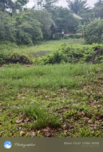 Land 556 sq.wa near Chumphon city center 1.5 km, Located on Road 2009, Tak Daed, Mueang Chumphon, Chumphon, ถนนสายนาสวรรค์, Takdaet, Muang Chumphon, Chumphon, , 2,224 sqm, Land For Sale, by Sirithong Saetang, 500411792 - DDproperty.com