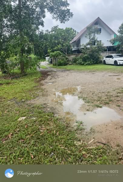 Land 556 sq.wa near Chumphon city center 1.5 km, Located on Road 2009, Tak Daed, Mueang Chumphon, Chumphon, ถนนสายนาสวรรค์, Takdaet, Muang Chumphon, Chumphon, , 2,224 sqm, Land For Sale, by Sirithong Saetang, 500411792 - DDproperty.com