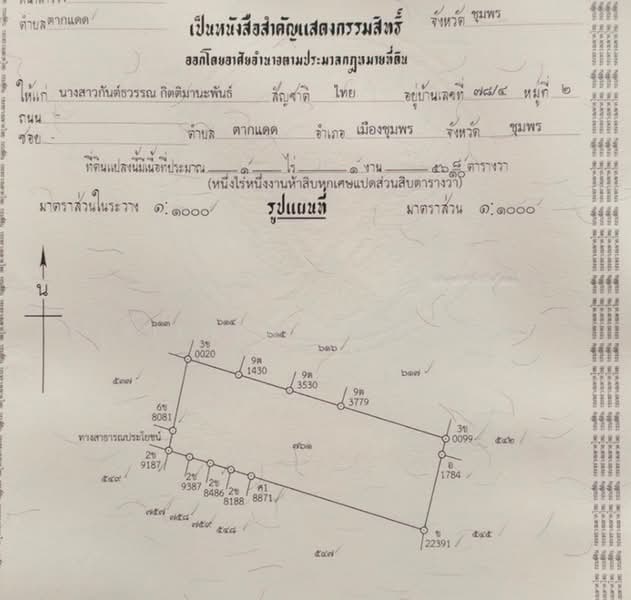 ขายที่ดิน 556 ตารางวา ใกล้ตัวเมืองชุมพร 1.5 กม. ทำเลถนน 2009 ตำบลตากแดด เมืองชุมพร, ชุมพร, ถนนสายนาสวรรค์, ตากแดด, เมืองชุมพร, ชุมพร, 2,224 ตร.ม., ที่ดิน ขาย, โดย Sirithong Saetang, 500411792 - DDproperty.com