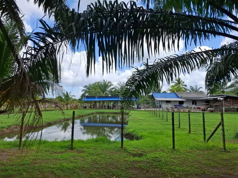 ที่ดินพร้อมสิ่งปลูกสร้างบางจาก นครศรีธรรมราช, Nakhon Si Thammarat, Bang Chak, Muang Nakhon Sri Thammarat, Nakhon Si Thammarat, , 15,755 sqm, Land For Sale, by The Best Property เบล, 500411849 - DDproperty.com