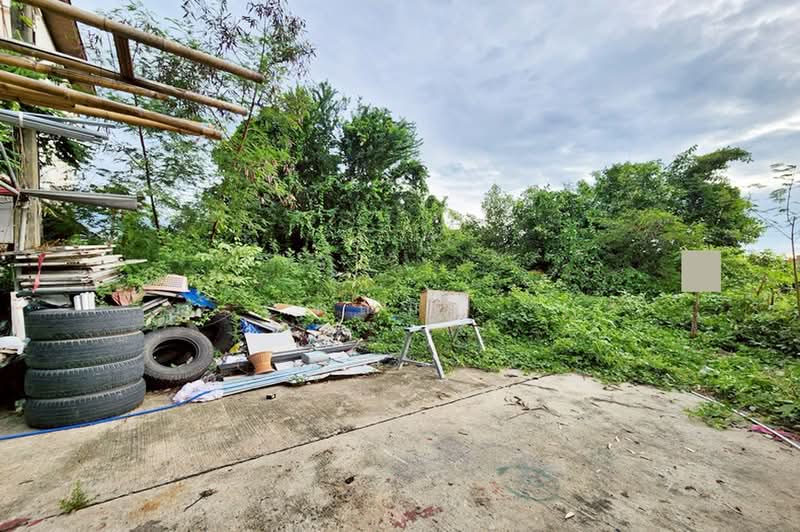 ที่ดินเปล่า หมู่บ้านเรือนสุข 2, ปทุมธานี, ถนนรังสิต-นครนายก คลอง 9, ลำผักกูด, ธัญบุรี, ปทุมธานี, 362 ตร.ม., ที่ดิน ขาย, โดย คุณมิว, 500411934 - DDproperty.com