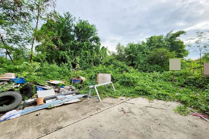 ที่ดินเปล่า หมู่บ้านเรือนสุข 2, ปทุมธานี, ถนนรังสิต-นครนายก คลอง 9, ลำผักกูด, ธัญบุรี, ปทุมธานี, 362 ตร.ม., ที่ดิน ขาย, โดย คุณมิว, 500411934 - DDproperty.com