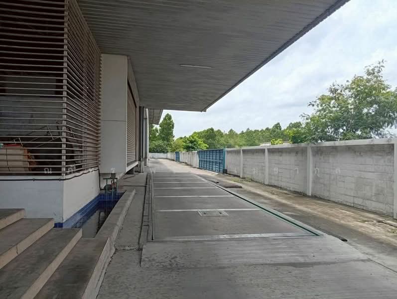 โกดังให้เช่า 846 ตรม. มีเครน 2 ตัว บางพลี เทพารักษ์ สมุทรปราการ (TW8-23626), Samut Prakan, Bang Pla, Bang Plee, Samut Prakan, , 846 sqm, Warehouse/Factory For Rent, by ณภัทร พรสิริเมธากุล, 500411970 - DDproperty.com
