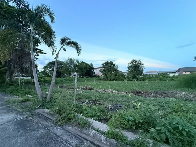 ที่ดินเปล่า 5 ไร่ หมู่บ้านมหาดไทย 1, กรุงเทพ, ถนนพุทธมณฑลสาย1, บางระมาด, ตลิ่งชัน, กรุงเทพ, 8,000 ตร.ม., ที่ดิน ขาย, โดย คุณ นุชนาฏ ปทุมสูตร (จ๋า), 500412044 - DDproperty.com