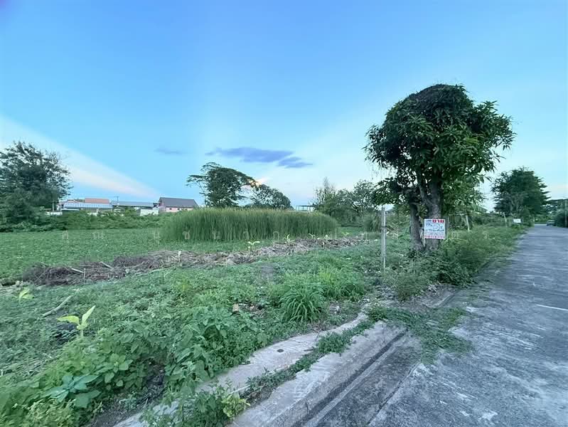 ที่ดินเปล่า 5 ไร่ หมู่บ้านมหาดไทย 1, กรุงเทพ, ถนนพุทธมณฑลสาย1, บางระมาด, ตลิ่งชัน, กรุงเทพ, 8,000 ตร.ม., ที่ดิน ขาย, โดย คุณ นุชนาฏ ปทุมสูตร (จ๋า), 500412044 - DDproperty.com