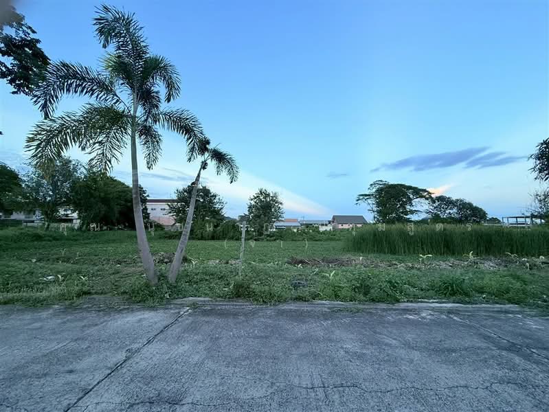 ที่ดินเปล่า 5 ไร่ หมู่บ้านมหาดไทย 1, Bangkok, ถนนพุทธมณฑลสาย1, Bang Ra Mat, Taling Chan, Bangkok, , 8,000 sqm, Land For Sale, by คุณ นุชนาฏ ปทุมสูตร (จ๋า), 500412044 - DDproperty.com
