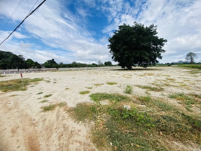 Land For U, นครราชสีมา, หมูสี, ปากช่อง, นครราชสีมา, 6,292 ตร.ม., ที่ดิน ขาย, โดย Tanyaras Srimuang, 500412056 - DDproperty.com