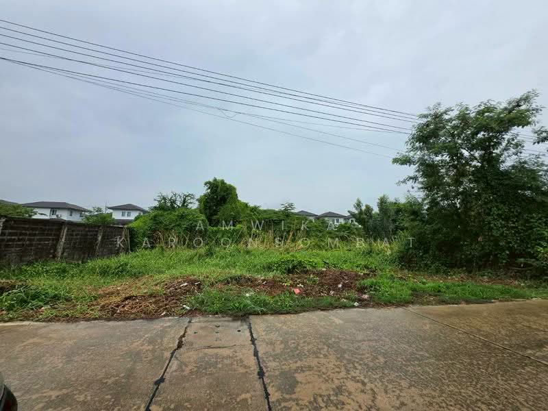 ที่ดิน ใกล้มหาวิทยาลัยกรุงเทพ(รังสิต), ปทุมธานี, คลองสาม, คลองหลวง, ปทุมธานี, 288 ตร.ม., ที่ดิน ขาย, โดย Amwika Karoonsombat, 500412073 - DDproperty.com