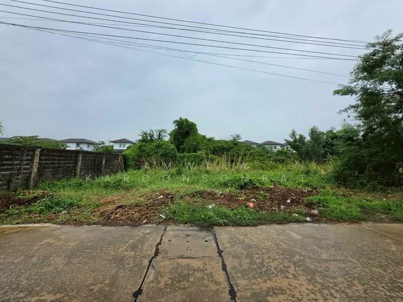 ที่ดิน ใกล้มหาวิทยาลัยกรุงเทพ(รังสิต), ปทุมธานี, คลองสาม, คลองหลวง, ปทุมธานี, 288 ตร.ม., ที่ดิน ขาย, โดย Amwika Karoonsombat, 500412073 - DDproperty.com