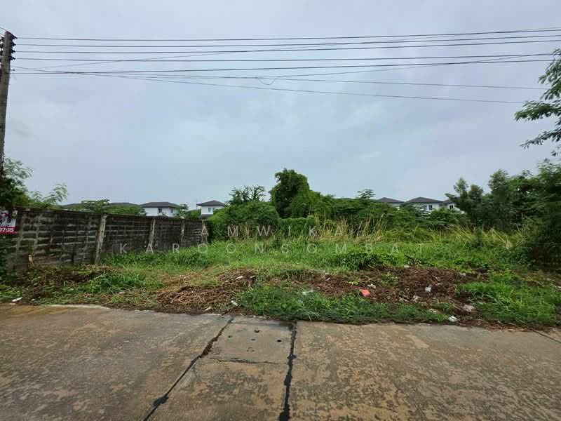 ที่ดิน ใกล้มหาวิทยาลัยกรุงเทพ(รังสิต), ปทุมธานี, คลองสาม, คลองหลวง, ปทุมธานี, 288 ตร.ม., ที่ดิน ขาย, โดย Amwika Karoonsombat, 500412073 - DDproperty.com