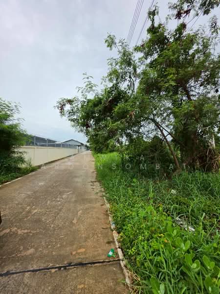ที่ดิน ใกล้มหาวิทยาลัยกรุงเทพ(รังสิต), ปทุมธานี, คลองสาม, คลองหลวง, ปทุมธานี, 288 ตร.ม., ที่ดิน ขาย, โดย Amwika Karoonsombat, 500412073 - DDproperty.com