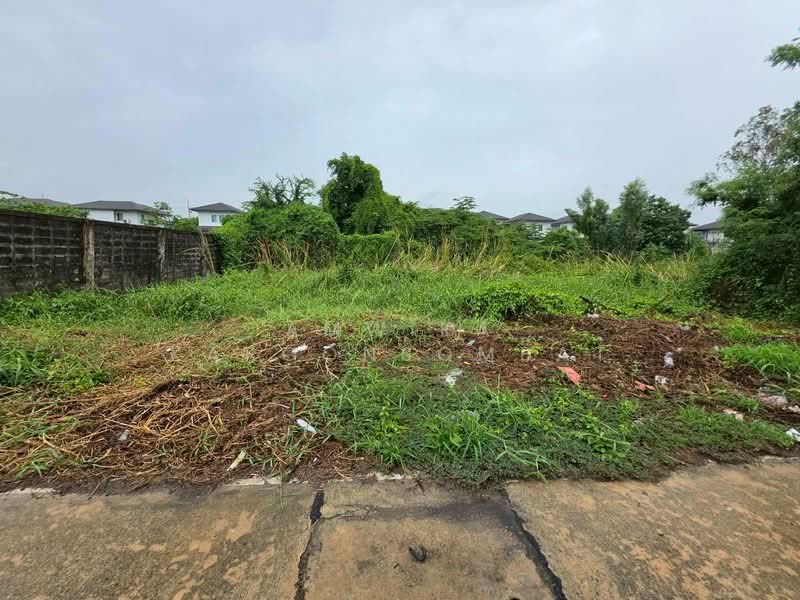 Land Near Bangkok University, Pathum Thani, Khlong Sam, Khlong Luang, Pathum Thani, , 288 sqm, Land For Sale, by Amwika Karoonsombat, 500412073 - DDproperty.com