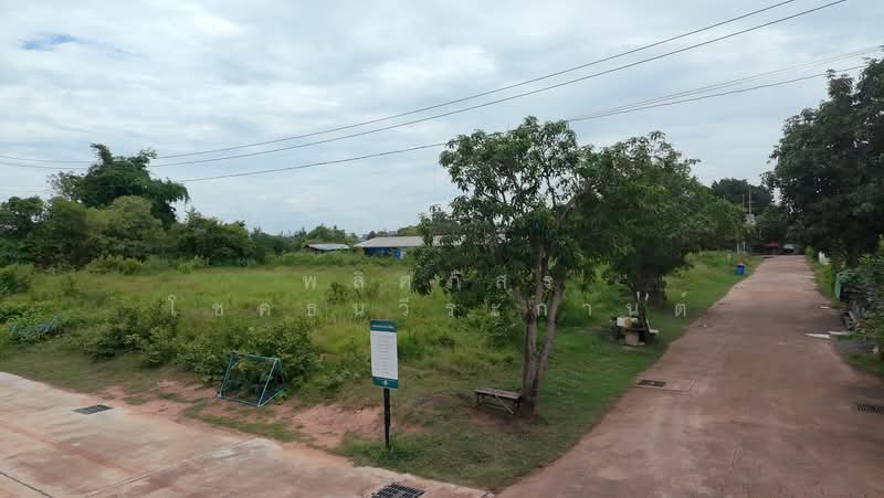 ที่ดินหลังเทอมินนอลโคราช, นครราชสีมา, หมื่นไวย, เมืองนครราชสีมา, นครราชสีมา, 2,524 ตร.ม., ที่ดิน ขาย, โดย พลิศภัสร์ โชคธนวีระกานต์, 500412137 - DDproperty.com