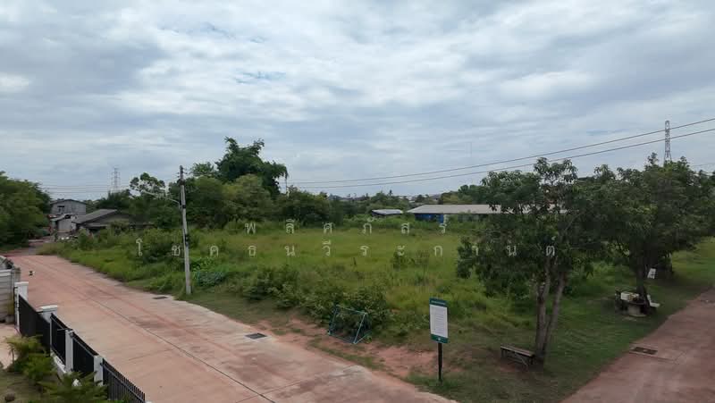 ที่ดินหลังเทอมินนอลโคราช, นครราชสีมา, หมื่นไวย, เมืองนครราชสีมา, นครราชสีมา, 2,524 ตร.ม., ที่ดิน ขาย, โดย พลิศภัสร์ โชคธนวีระกานต์, 500412137 - DDproperty.com