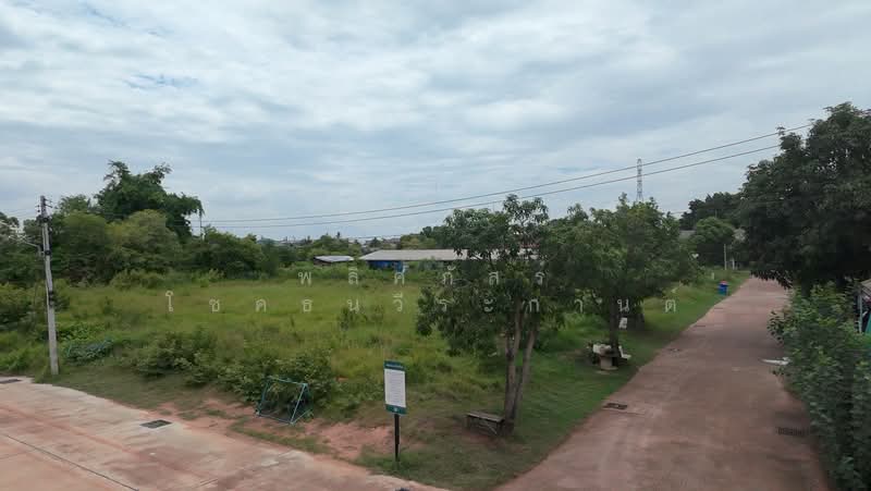 ที่ดินหลังเทอมินนอลโคราช, นครราชสีมา, หมื่นไวย, เมืองนครราชสีมา, นครราชสีมา, 2,524 ตร.ม., ที่ดิน ขาย, โดย พลิศภัสร์ โชคธนวีระกานต์, 500412137 - DDproperty.com