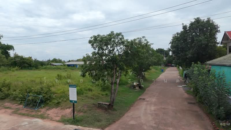 ที่ดินหลังเทอมินนอลโคราช, Nakhon Ratchasima, Mun Wai, Muang Nakhon Ratchasima, Nakhon Ratchasima, , 2,524 sqm, Land For Sale, by พลิศภัสร์ โชคธนวีระกานต์, 500412137 - DDproperty.com