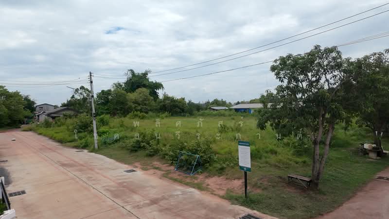 ที่ดินหลังเทอมินนอลโคราช, นครราชสีมา, หมื่นไวย, เมืองนครราชสีมา, นครราชสีมา, 2,524 ตร.ม., ที่ดิน ขาย, โดย พลิศภัสร์ โชคธนวีระกานต์, 500412137 - DDproperty.com