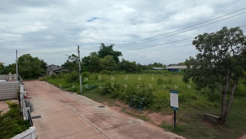 ที่ดินหลังเทอมินนอลโคราช, นครราชสีมา, หมื่นไวย, เมืองนครราชสีมา, นครราชสีมา, 2,524 ตร.ม., ที่ดิน ขาย, โดย พลิศภัสร์ โชคธนวีระกานต์, 500412137 - DDproperty.com