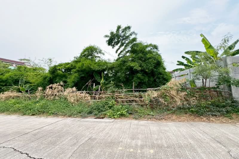 ถนนศรีนครินทร์ ซอยอ่อนนุช 66, กรุงเทพ, ถนนศรีนครินทร์, สวนหลวง, สวนหลวง, กรุงเทพ, 1,572 ตร.ม., ที่ดิน ขาย, โดย คุณธัญญ่า, 500412389 - DDproperty.com