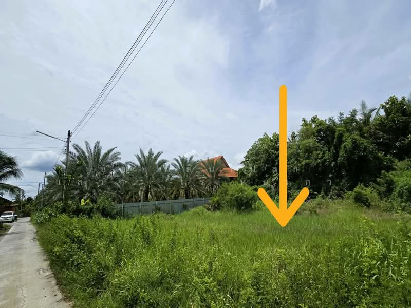 Filled land for sale 1 Rai with an impressive 52meter road frontage!, Nakhon Pathom, Krathum Lom, Sam Phran, Nakhon Pathom, , 1,600 sqm, Land For Sale, by คุณจี, 500412437 - DDproperty.com