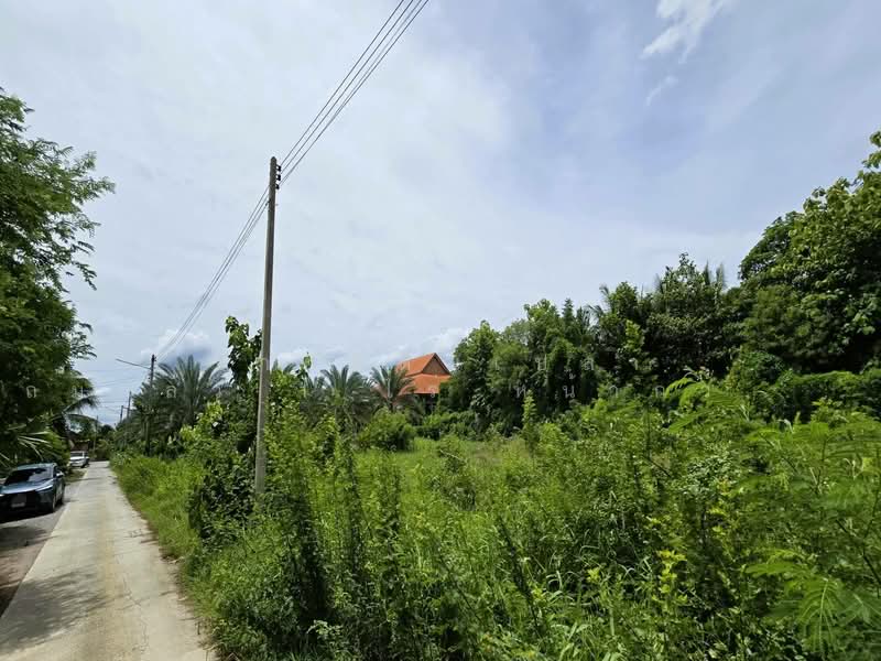 Filled land for sale 1 Rai with an impressive 52meter road frontage!, Nakhon Pathom, Krathum Lom, Sam Phran, Nakhon Pathom, , 1,600 sqm, Land For Sale, by คุณจี, 500412437 - DDproperty.com