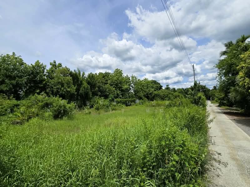 Filled land for sale 1 Rai with an impressive 52meter road frontage!, Nakhon Pathom, Krathum Lom, Sam Phran, Nakhon Pathom, , 1,600 sqm, Land For Sale, by คุณจี, 500412437 - DDproperty.com